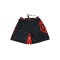 MMA Shorts